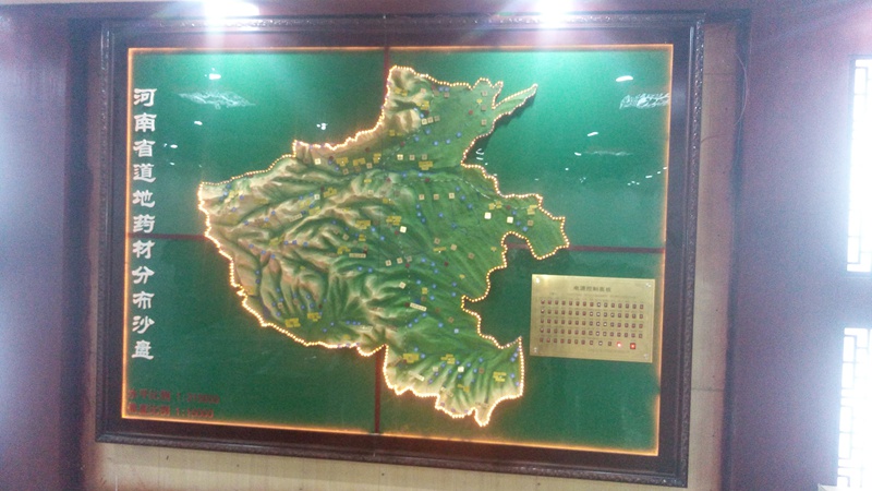 郑州地形模型公司