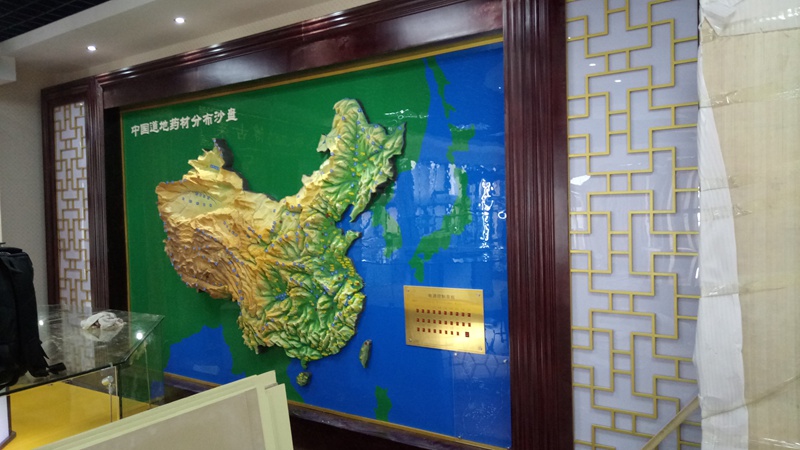 地形沙盘模型公司